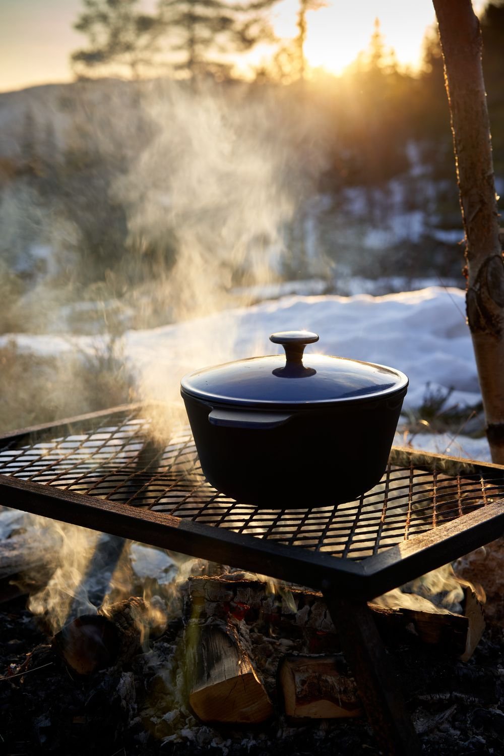 Doral Forge 5-Quart Lidded Dutch Oven